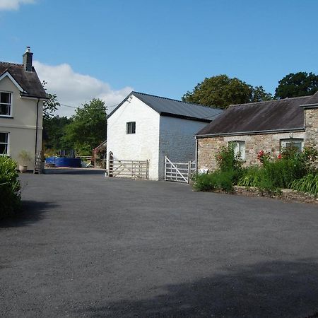 Dinefwr Cottage Carmarthen Zewnętrze zdjęcie