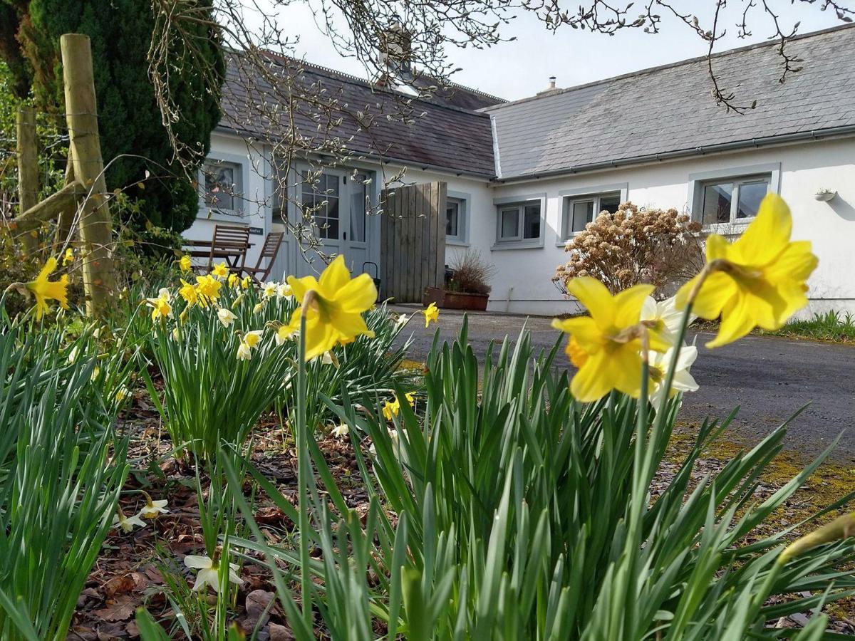 Dinefwr Cottage Carmarthen Zewnętrze zdjęcie