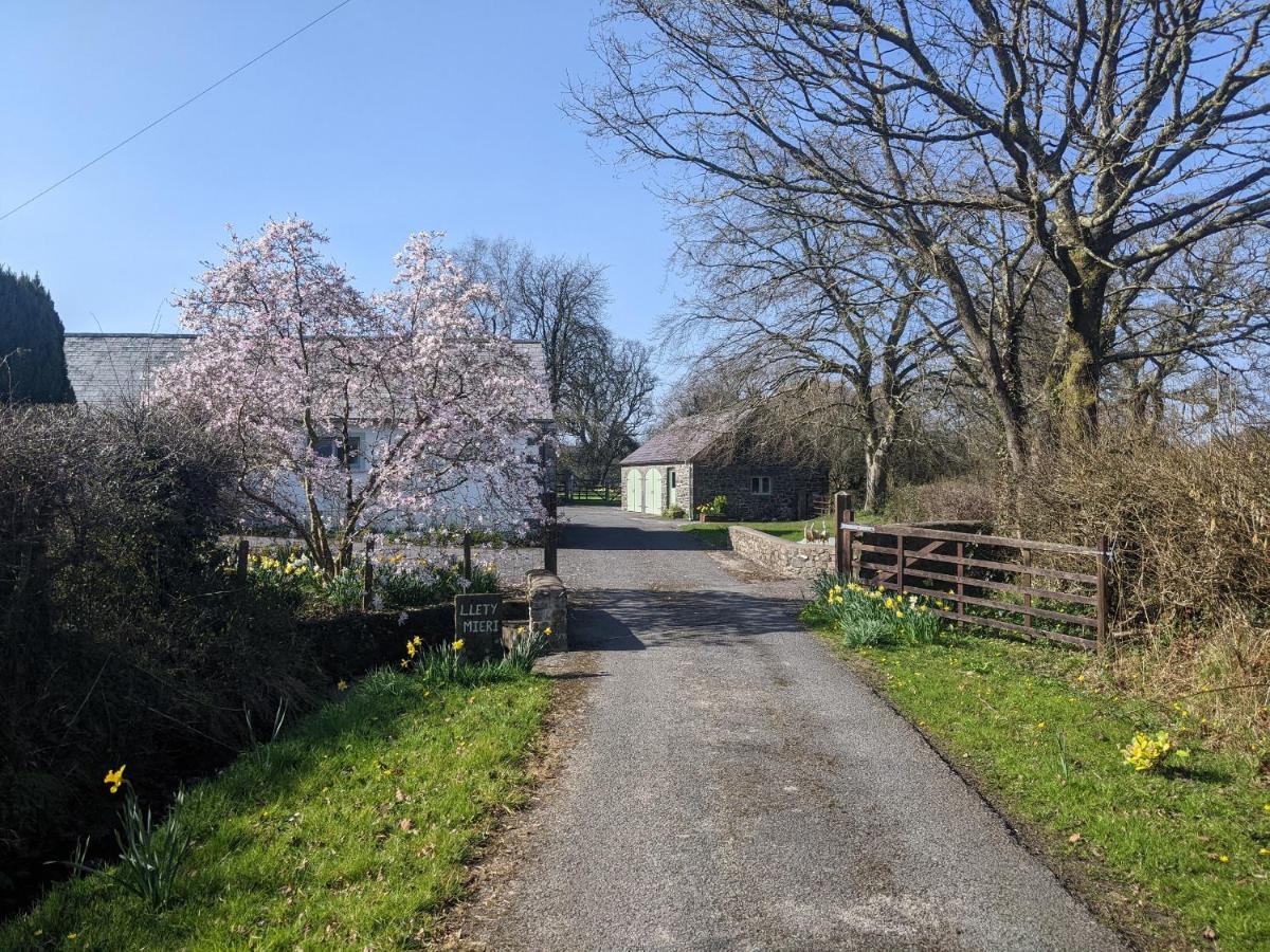 Dinefwr Cottage Carmarthen Zewnętrze zdjęcie