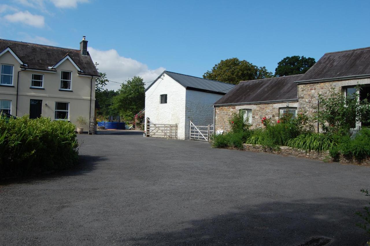 Dinefwr Cottage Carmarthen Zewnętrze zdjęcie