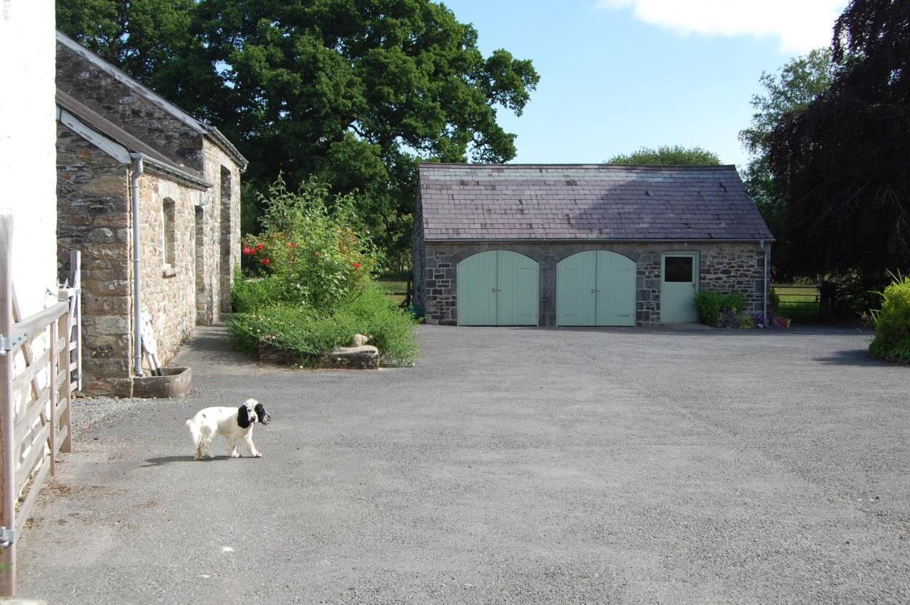 Dinefwr Cottage Carmarthen Zewnętrze zdjęcie